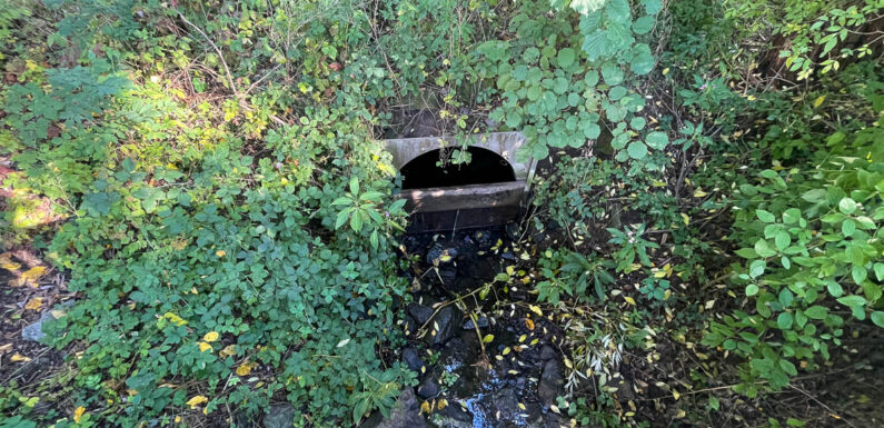 Mühlengraben-Pläne stoßen nicht überall auf Zustimmung: Freie Wähler fordern Nachjustierung und weitere Informationen vor Zuschüttung