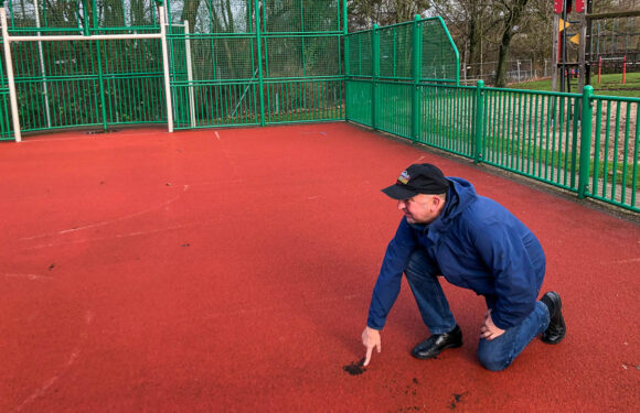 „Nicht zum Nachteil der Kinder auf die lange Bank schieben“: Multifunktionsanlage in Meinsen wird für 28.000 Euro saniert