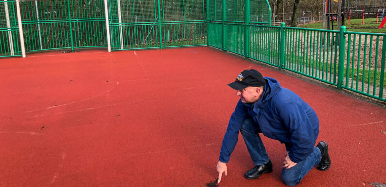 „Nicht zum Nachteil der Kinder auf die lange Bank schieben“: Multifunktionsanlage in Meinsen wird für 28.000 Euro saniert