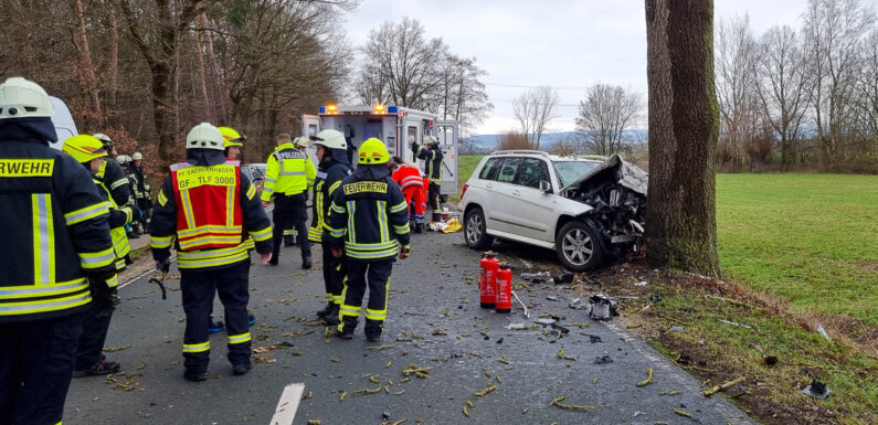 Zwischen Sachsenhagen und Lindhorst: Mercedes fährt frontal gegen Baum