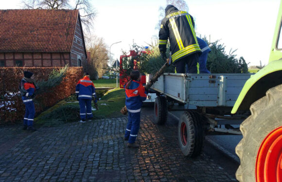 Jugendfeuerwehren sammeln wieder Weihnachtsbäume ein