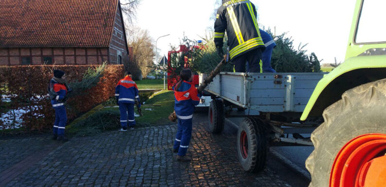 Jugendfeuerwehren sammeln wieder Weihnachtsbäume ein