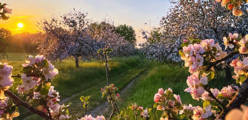 „Heimatliebe in schönen Bildern“: Ausstellung von Tanja Scheer in der VHS Stadthagen