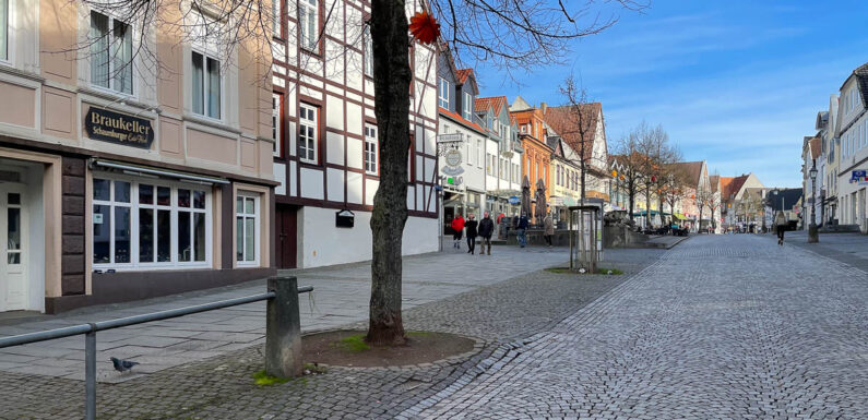 Bückeburg: Bauarbeiten an Baumstandorten beginnen