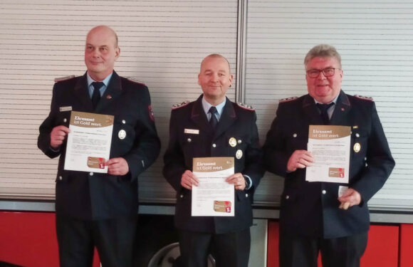 Jahreshauptversammlung der Feuerwehr Hagenburg-Altenhagen: Uwe Niemeyer erhält die Ehrennadel in Silber für langjähriges Engagement