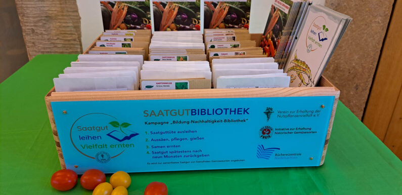 Historische Gemüsesorten bewahren: Saatgutverleih der Stadtbücherei Stadthagen startet