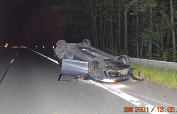 VW kollidiert auf der B65 mit einem Wildschwein und überschlägt sich