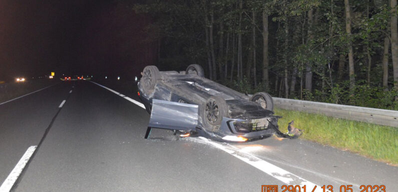 VW kollidiert auf der B65 mit einem Wildschwein und überschlägt sich