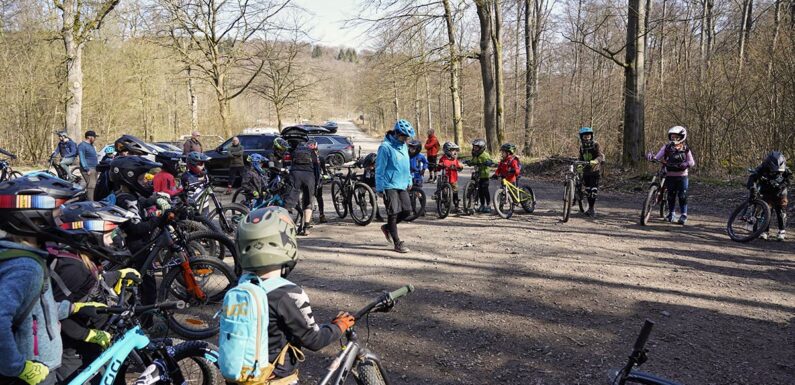 Legale Trails – Illegale Trails: Der 1. Vorsitzende des Vereins „Deisterfreun.de“ erklärt den Lösungsansatz