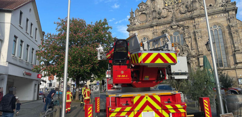 Feuerwehreinsatz in Bückeburg: Bienenvolk aus Kastanienbaum in der Fußgängerzone geholt