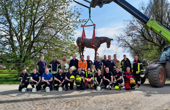 Kreisfeuerwehrverband organisiert Seminar zur Großtierrettung