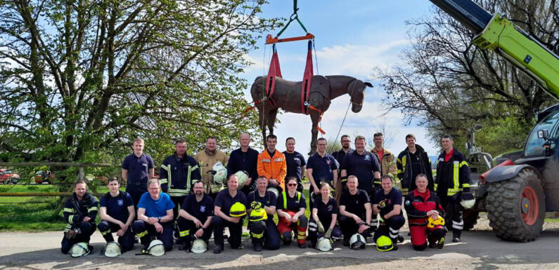 Kreisfeuerwehrverband organisiert Seminar zur Großtierrettung
