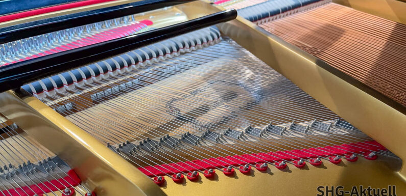 Mit Volldampf ins Musikstudium  – Vorbereitungskurse an der KJMS