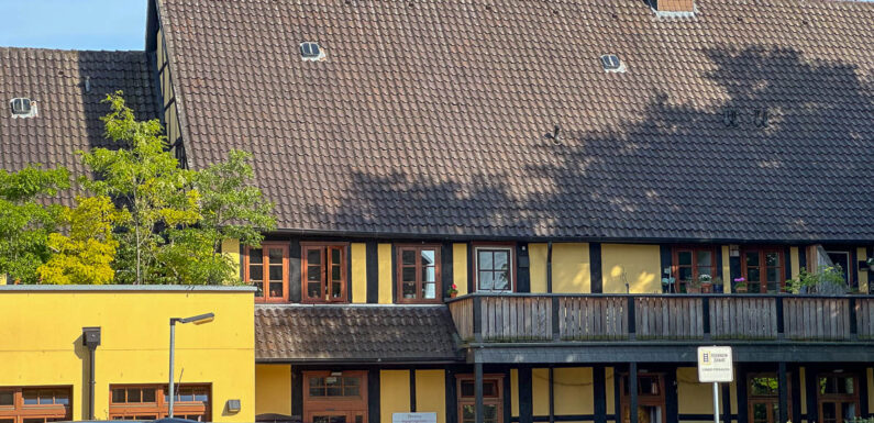 Digitaler Kunstnachmittag: Ein Blick über den Tellerrand