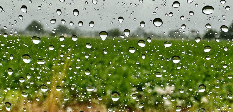 Feuerwehren im Landkreis Schaumburg arbeiten rund 20 wetterbedingte Einsätze ab
