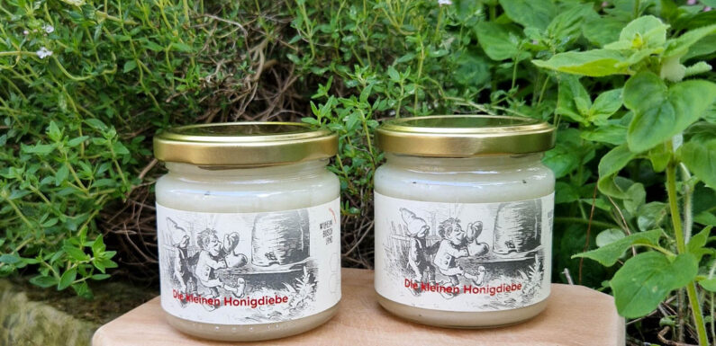 Auf dem Wilhelm Busch Land sind die Diebe los: „Die kleinen Honigdiebe“ präsentieren ihre Frühtracht