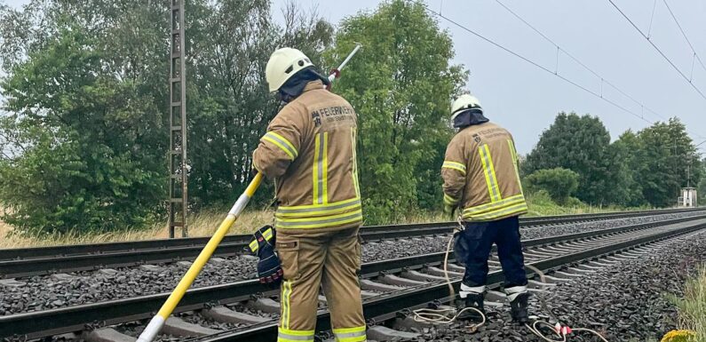 Ast gefährtet Oberleitung der Deutschen Bahn: Feuerwehr behebt Sturmschaden in Probsthagen