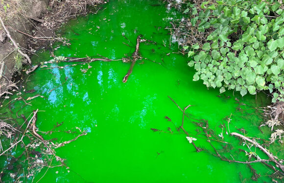 Neon-grüne Flüssigkeit in Enzen ruft die Feuerwehr auf den Plan