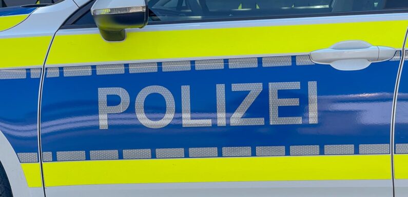 Handtaschendiebstahl im Supermarkt