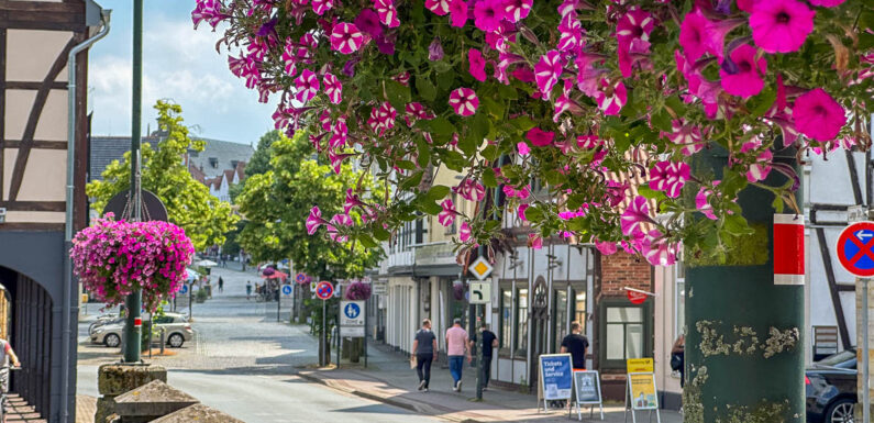 Stark erhöhter Pflegebedarf: Stadt informiert über „gutes Wetter für das Bückeburger Grün“