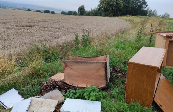 Möbel in der Feldmark bei Messenkamp abgeladen