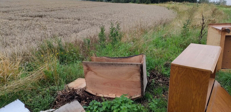 Möbel in der Feldmark bei Messenkamp abgeladen