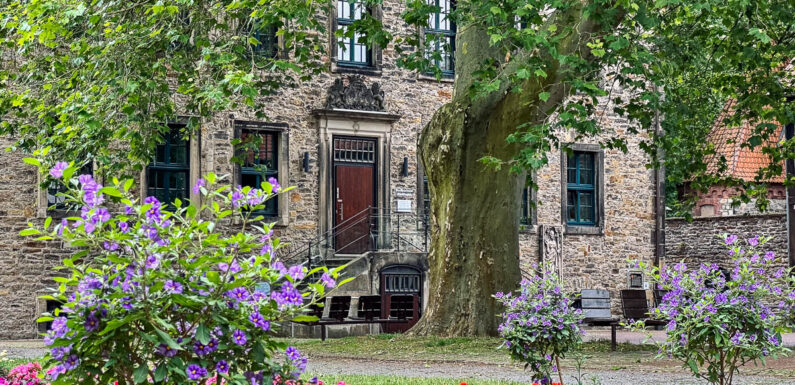 Stadthagen: Bilderbuchkino „Dr. Brumm fährt Zug“