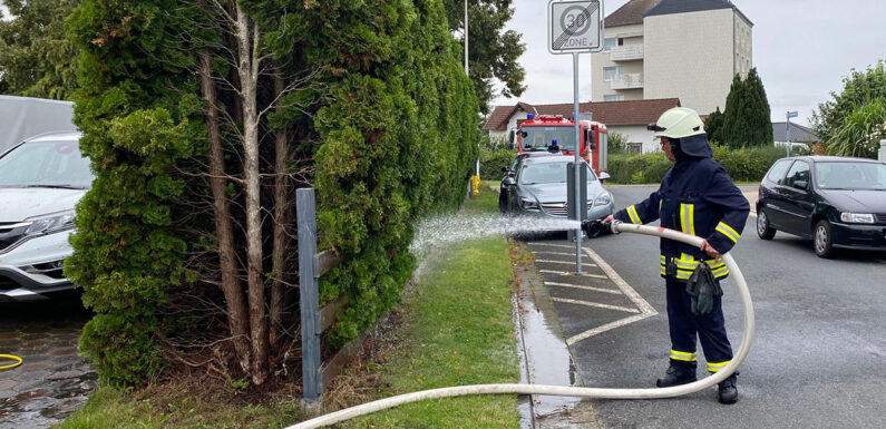 Heckenbrand in Sachsenhagen