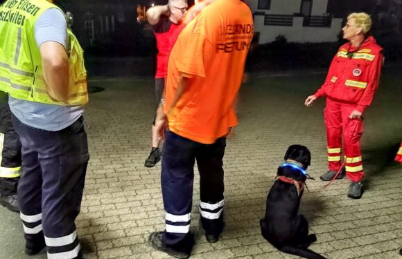 Ahnsen: Vermisstensuche am Boden und aus der Luft