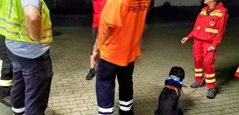 Ahnsen: Vermisstensuche am Boden und aus der Luft