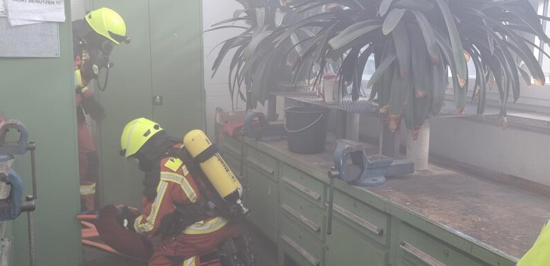 Großübung im Kraftwerk fordert Feuerwehren aus dem Schaumburger Südkreis