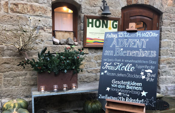 Advent am Schaumburger Bienenhaus