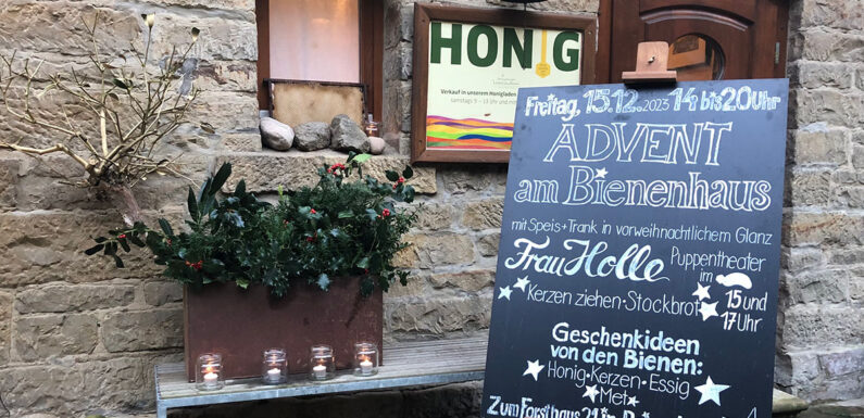 Advent am Schaumburger Bienenhaus