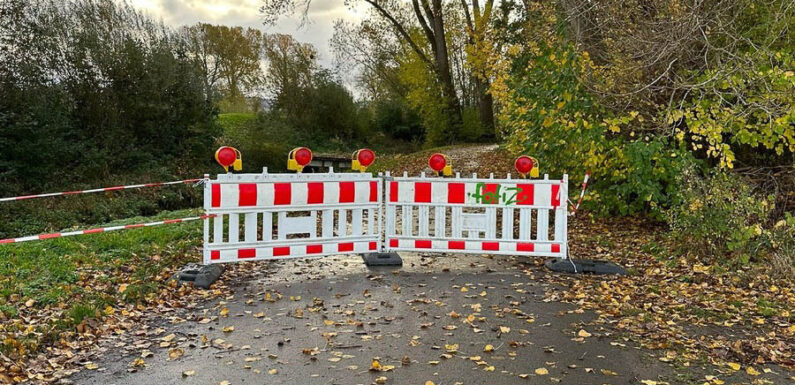 Stadthagen: Sturmschaden im Pappelwäldchen