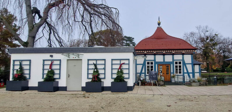 Stadthagen: Selbstgemachte Weihnachtswichtel verschönern Pflanzkübel