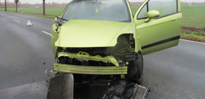 Stadthäger kommt von der Straße ab und prallt gegen Baum