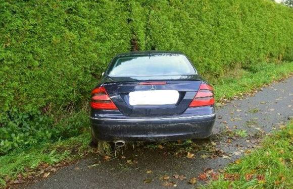 Heeßen: Betrunkener Mercedes-Fahrer landet in Hecke, Polizei sucht Zeugin mit roter Jacke
