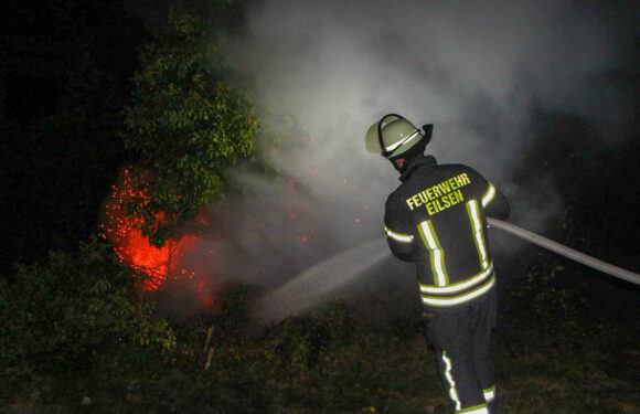 Bad Eilsen: Baum in Flammen