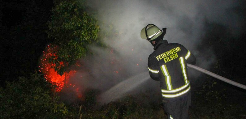 Bad Eilsen: Baum in Flammen