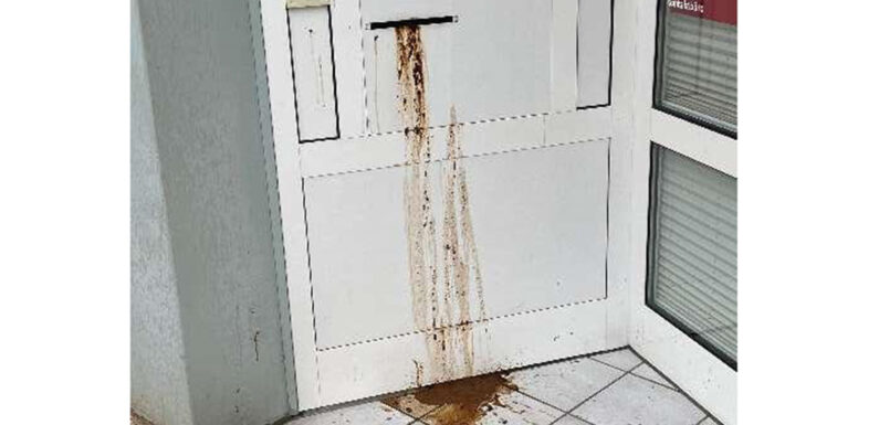 Stadthagen: Kot im Briefkasten des SPD-Parteibüros