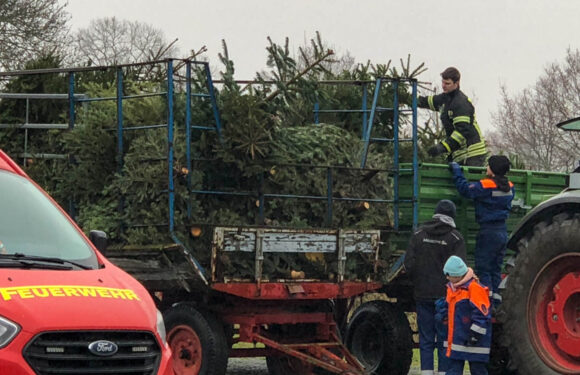 Viel positive Resonanz für Tannenbaum-Sammelaktionen: Jugendfeuerwehren freuen sich über zahlreiche süße und finanzielle Spenden