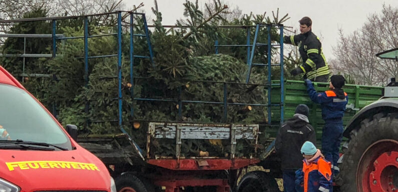 Viel positive Resonanz für Tannenbaum-Sammelaktionen: Jugendfeuerwehren freuen sich über zahlreiche süße und finanzielle Spenden