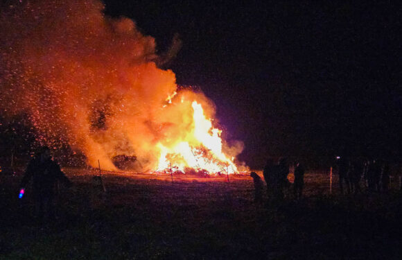 Traditioneller Tannenbrand in Hagenburg
