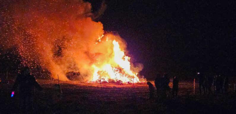 Traditioneller Tannenbrand in Hagenburg
