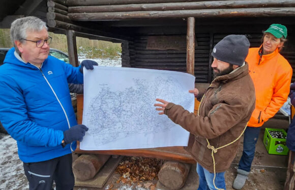 „Unser Wald am Bückeberg“: Wanderung des Verkehrsvereins, Zustand und aktuelle Erkenntnisse