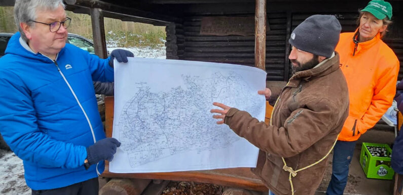 „Unser Wald am Bückeberg“: Wanderung des Verkehrsvereins, Zustand und aktuelle Erkenntnisse