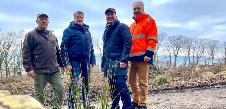 Stadtwald in Rodenberg wird aufgeforstet: Rund neue 14.000 Bäume im Deister