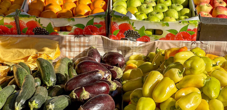 BKK24-Aktion „Frühlingsfit“ startet mit 4-Wochen-Challenge für gesunde Ernährung