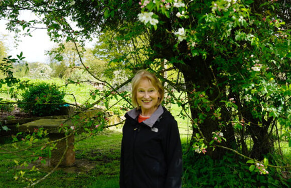 Naturphilosophopie und „Nature writing“ im Schaumburger Bienenhaus