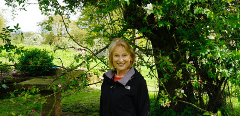 Naturphilosophopie und „Nature writing“ im Schaumburger Bienenhaus